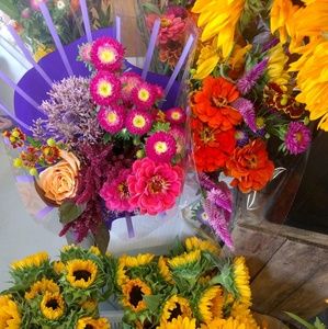 Meet your Posher, April